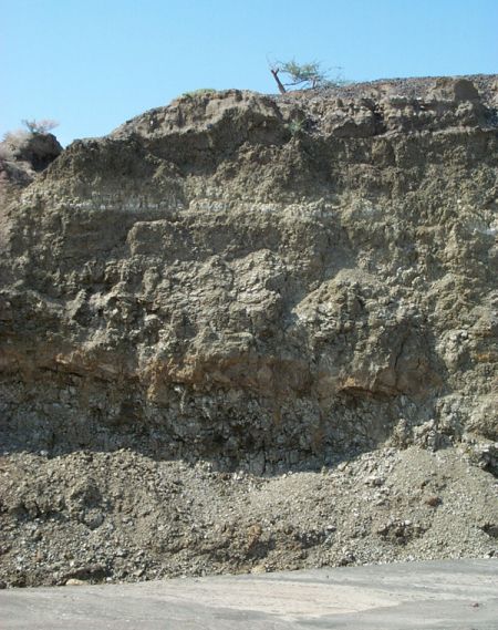 A 5 meter cliff section of lake clays exposed along the dry river Kaitio in West Turkana. The white band near the top is the KBS Tuff, a volcanic ash that fell into the lake 1.87 million years ago. The orange band in the middle of the cliff is an oxidation zone, where organic material was ‘burned out’ by chemical reactions near the Earth’s surface. A 5 meter cliff section of lake clays exposed along the dry river Kaitio in West Turkana. The white band near the top is the KBS Tuff, a volcanic ash that fell into the lake 1.87 million years ago. The orange band in the middle of the cliff is an oxidation zone, where organic material was ‘burned out’ by chemical reactions near the Earth’s surface.