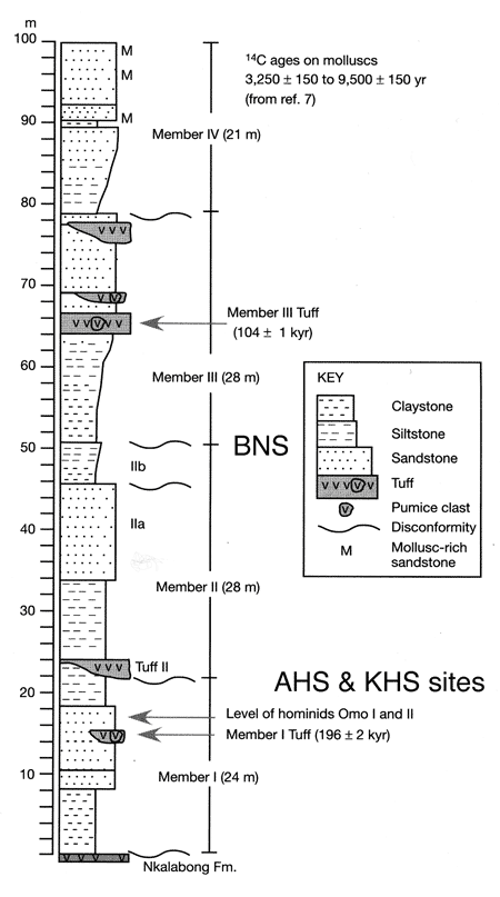 Figure 2 - Composite stratigraphy of the Omo Kibish Formation (modified from McDougall, et al. 2005).