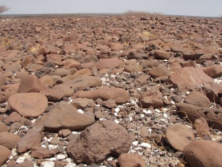 stones_to_eternity.JPG