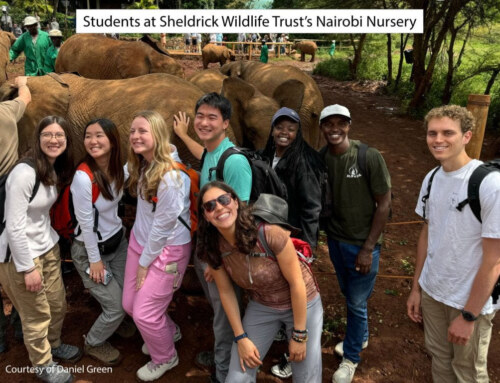 Harvard Summer Program in Kenya: Week One
